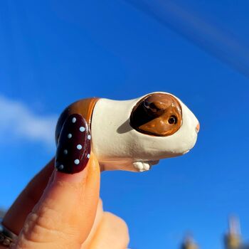 Guinea Pig Keepsake Ornament With Gift Box, 5 of 7