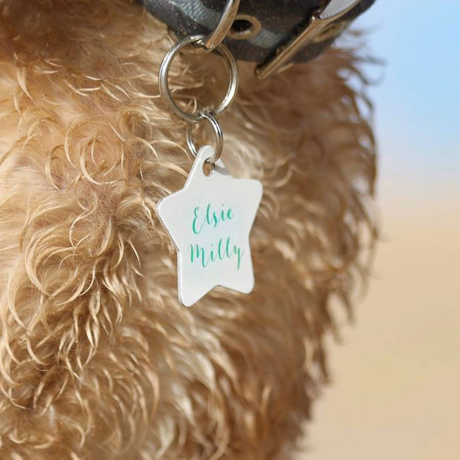 Personalised Name Pet Tag Star Shaped, 1 of 6