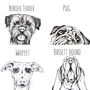 Personalised Ink Drawing Pet Portrait, thumbnail 6 of 7