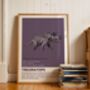 Dinosaurs Set Of Four Art Prints, thumbnail 4 of 5
