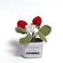 Tranquil Crochet Succulent Plants, thumbnail 4 of 12