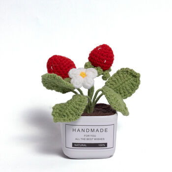 Tranquil Crochet Succulent Plants, 4 of 12