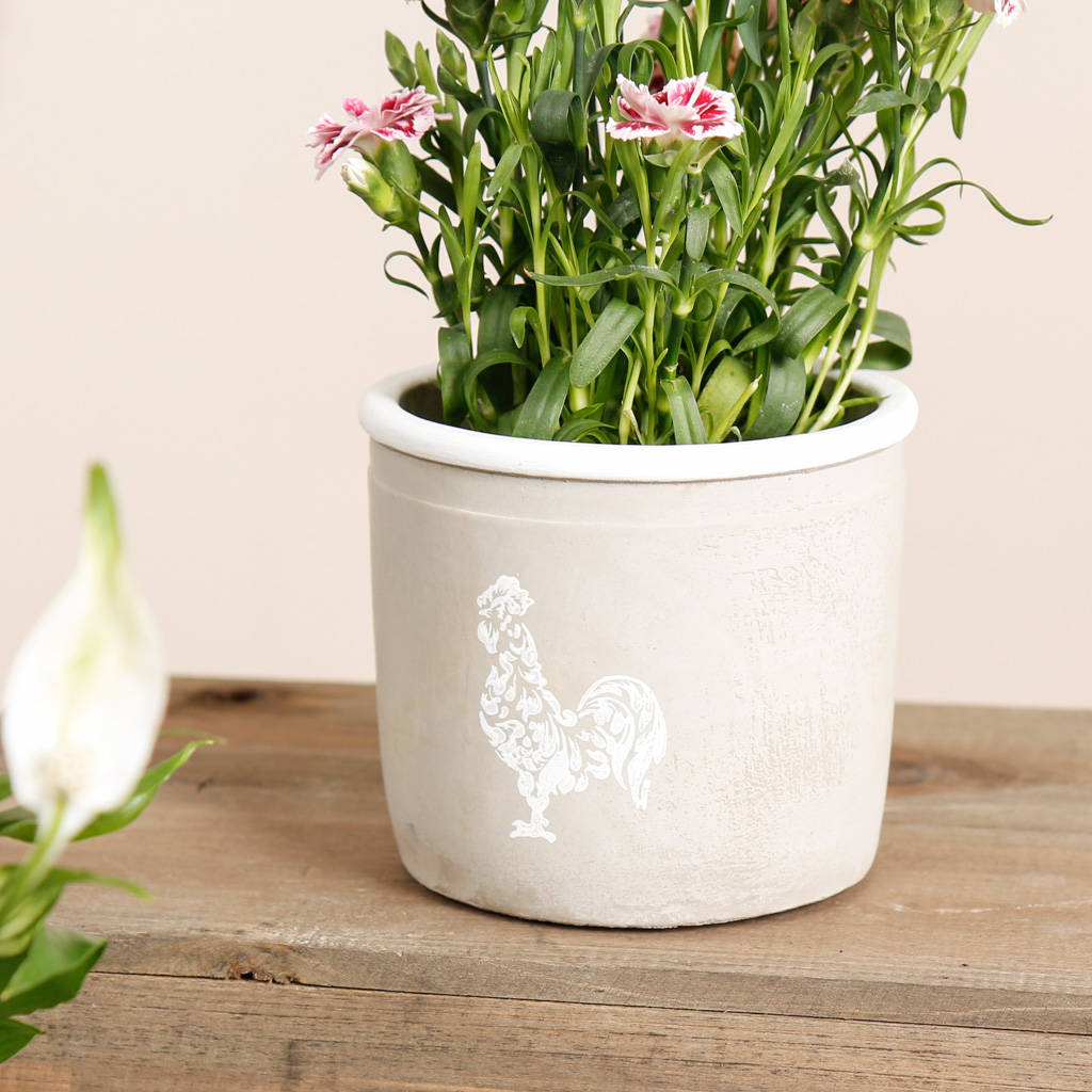 Set Of Two Cement Grey  Rooster Flower  Pots  By Dibor 