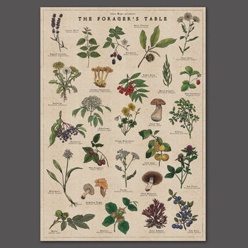 Botanical Wild Food Print/Illustrated Foraging Artwork, 10 of 11