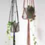 Popcorn Knot Macrame Plant Hanger Craft Kit, thumbnail 7 of 10