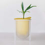 Flo, Self Watering Plant Pot In Spring Yellow + Mist, thumbnail 1 of 6