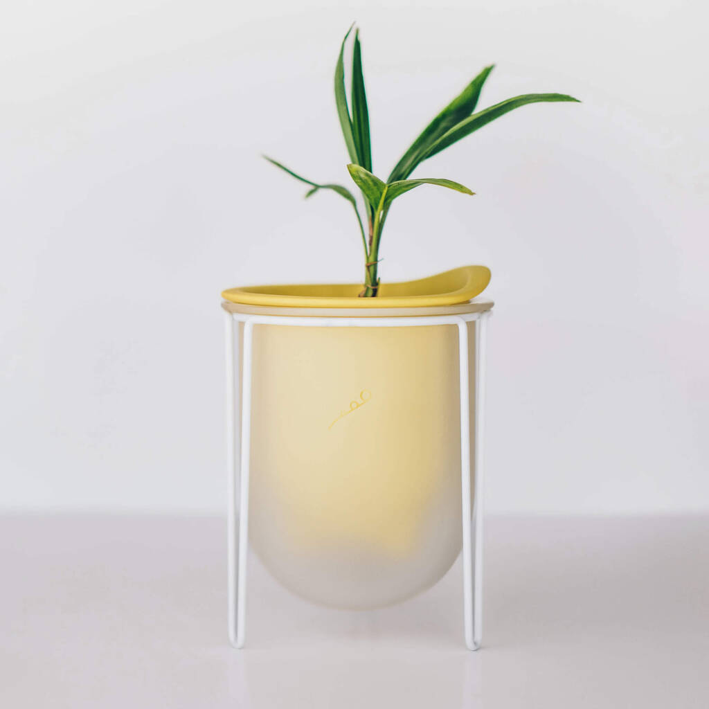 Flo, Self Watering Plant Pot In Spring Yellow + Mist, 1 of 6