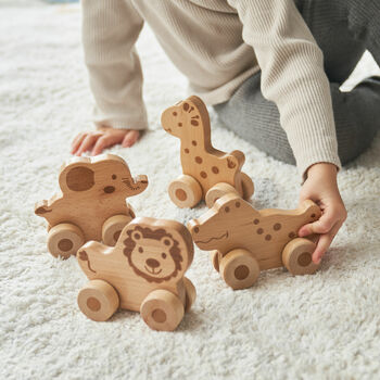 Set Of Four Push Along Wooden Toy Animals, 5 of 8