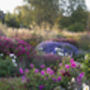 Entrance To R.H.S Garden Harlow Carr For Two, thumbnail 4 of 11