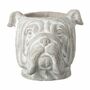 Cement Puppy Dog Planter, thumbnail 5 of 5