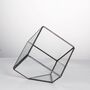 Small Inclined Cube Glass Geometric Terrarium, thumbnail 5 of 7