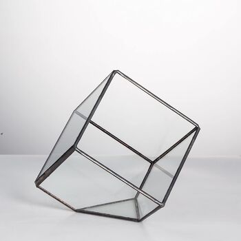 Small Inclined Cube Glass Geometric Terrarium, 5 of 7