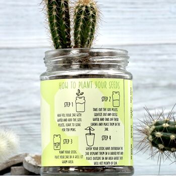 Personalised Cactus Jar Grow Kit, 3 of 12