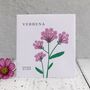 Cottage Garden Flower Seed Kit, thumbnail 9 of 10