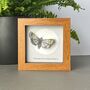Personalised Hand Drawn Moth Artwork With Book Pages And Moon, thumbnail 4 of 7