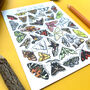 Moths Of Britain Watercolour Postcard, thumbnail 6 of 9