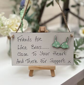 Friends Are Like Bras Card Alternative Sign, 4 of 4