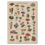 British Mushroom Artwork/Fungi Illustration Print, thumbnail 2 of 11