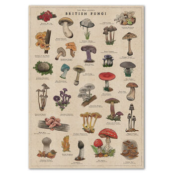 British Mushroom Artwork/Fungi Illustration Print, 2 of 11