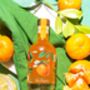 Clementine And Ginger Gin Liqueur, thumbnail 4 of 4