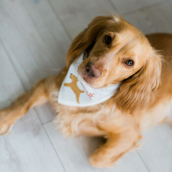 Personalised Christmas Dog Pet Bandana, 7 of 8