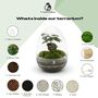 Bonsai Diy Terrarium Kit: Stylish Plant Decor | 'Kyoto', thumbnail 4 of 11