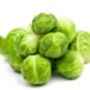Brussels Sprouts Plants 'Brigitte' Plug Plants, thumbnail 6 of 8