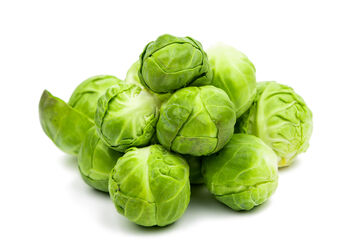 Brussels Sprouts Plants 'Brigitte' Plug Plants, 6 of 8