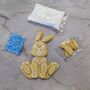 Bertie Bunny Diy Kit, thumbnail 1 of 2