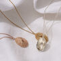Personalised Limpet Shell Necklace, thumbnail 2 of 8