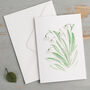 'Spring' Floral Postcard Set, thumbnail 4 of 4