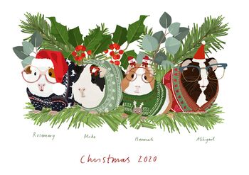 Personalised Social Bubble Family Christmas Guinea Pig, 3 of 4