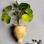 Ceramic Wall Planter Handmade Hanging Plant Pot, thumbnail 4 of 9
