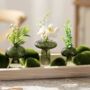 Set Of Five Glass Mushroom Bud Vases, thumbnail 2 of 3