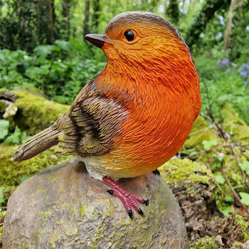 Pair Of Cute Robin Red Breast Garden Ornaments, 6 of 9
