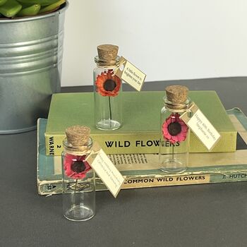 Tiny Gerbera Daisy In A Bottle With Personalised Tag, 3 of 11