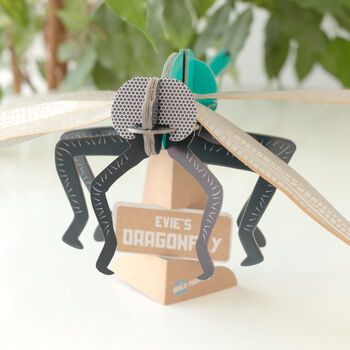 Build Your Own Personalised Dragonfly Kit, 4 of 12