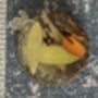 Set Of Four Garam Masala Infused Coasters, thumbnail 2 of 12