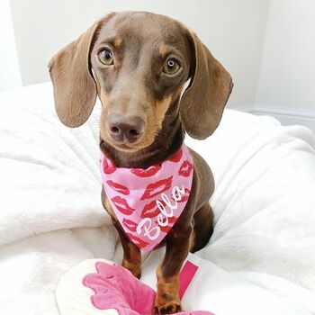 Personalised Kisses Dog Gift Set, 3 of 3