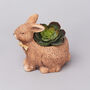 G Decor Wild Ceramic Bunny Planter, thumbnail 1 of 4