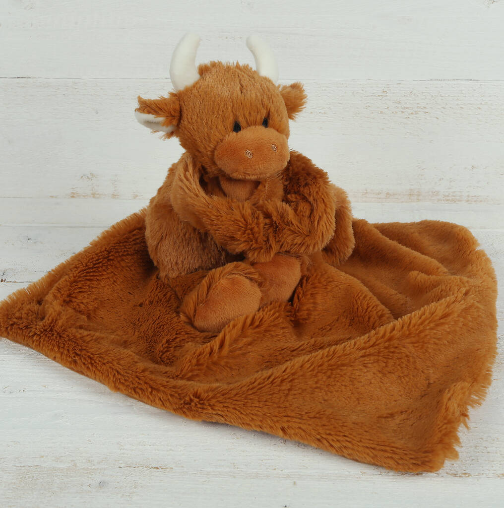 Scottish Highland Cow Brown Toy Soother, Boxed, 1 of 12
