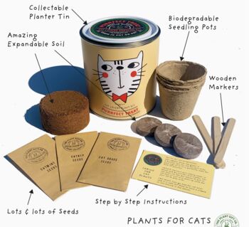 Cats Eco Grow Your Own Plant Kit, 3 of 8