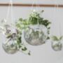 Personalised Disco Ball Hanging Planter, thumbnail 9 of 10