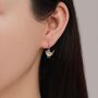 Sterling Silver Wren Bird Drop Hook Earrings Earrings, thumbnail 5 of 11