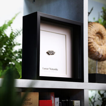 Lunar Slice Precambrian Meteorite Artefact Box Frame, 2 of 4
