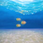 Under Sea Escape, thumbnail 4 of 8