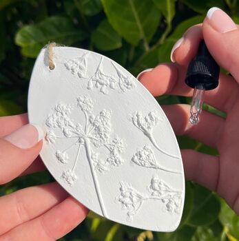 Cow Parsley Gift Botanical Home Air Freshener, 2 of 5