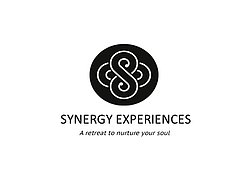 Synergy Experiences Logo