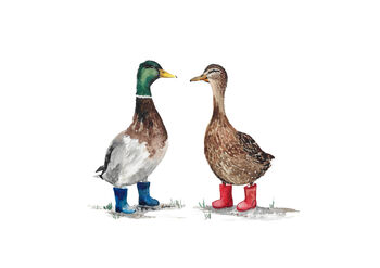Ducks In Wellington Boots Watercolour Print, 2 of 3
