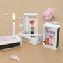 January Birth Flower Seeds And Birthday Candle Gift, thumbnail 1 of 8